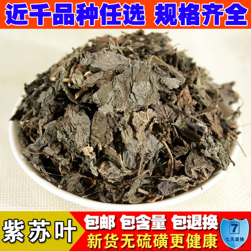 野生无硫紫苏叶中药材