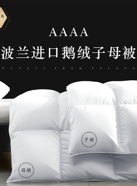 波兰进口羽绒被99%白鹅绒被二合一四季子母被加厚保暖鹅绒冬被芯