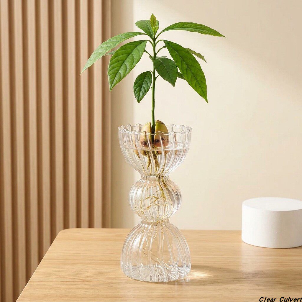创意高硼硅玻璃牛油果花瓶简约现代客厅咖啡厅装饰水养植物摆件