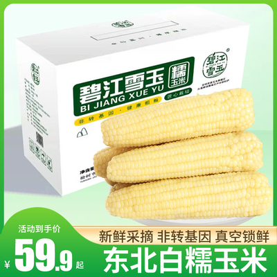 碧江雪玉东北吉林白糯玉米甜黏粘糯玉米棒200g*10支整箱包邮