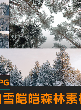 白雪皑皑森林鸟瞰图树林雪景CG绘画参考PS场景素材matte painting