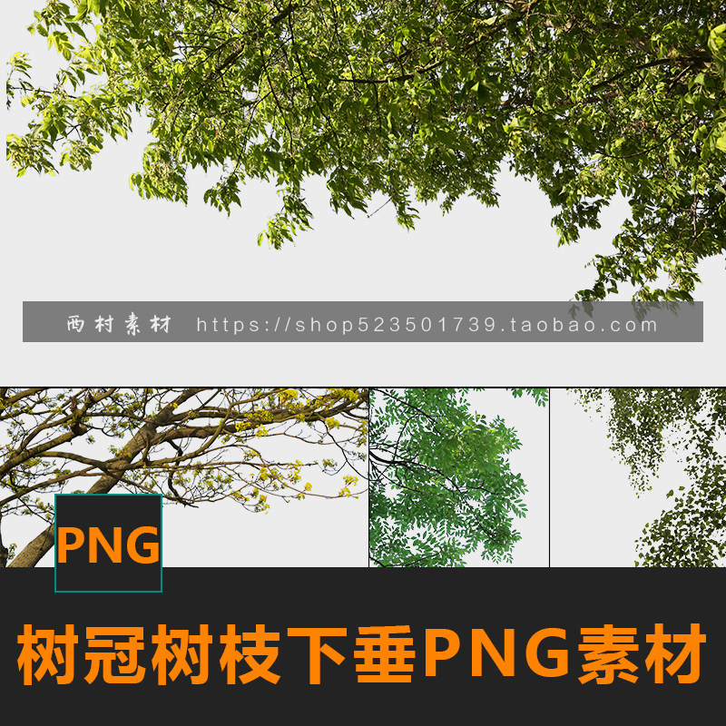 免抠png树枝树冠前景图片cg绘画参考ps合成素材matte painting