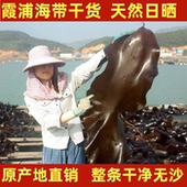 无沙干海带干货福建霞浦特产级天然日晒商用特厚海带丝头结批发