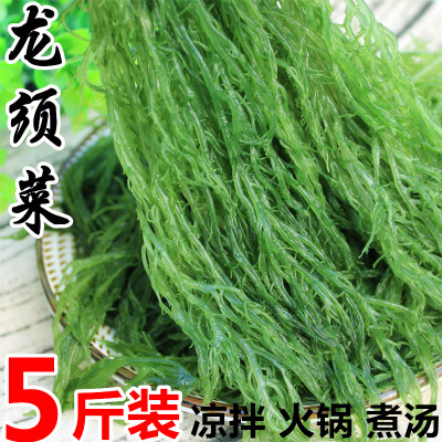 盐渍龙须菜5斤新鲜裙带海草