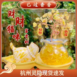 杭州灵隐财财猫富桂树可爱珍珠大漆猫咪发财树富桂树创意桌面摆件