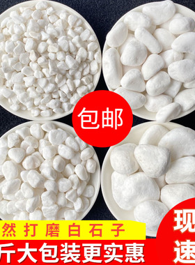 50斤白色石子石头大鹅卵石庭院铺路铺地小白石花园造景景观白石子