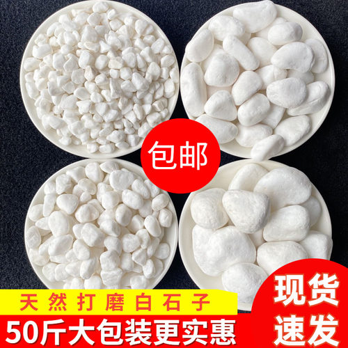 50斤白色石子石头大鹅卵石庭院铺路铺地小白石花园造景景观白石子 - 封面