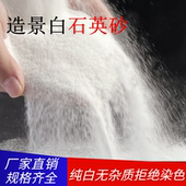 白沙石英砂酒店垃圾桶烟灰缸灭烟白色细沙子天然白石子白色造景沙