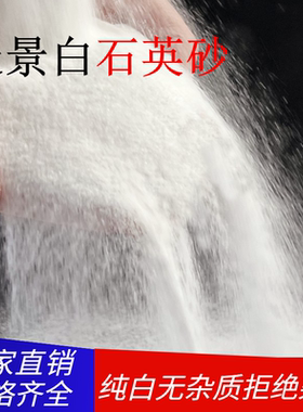 白沙石英砂酒店垃圾桶烟灰缸灭烟白色细沙子天然白石子白色造景沙