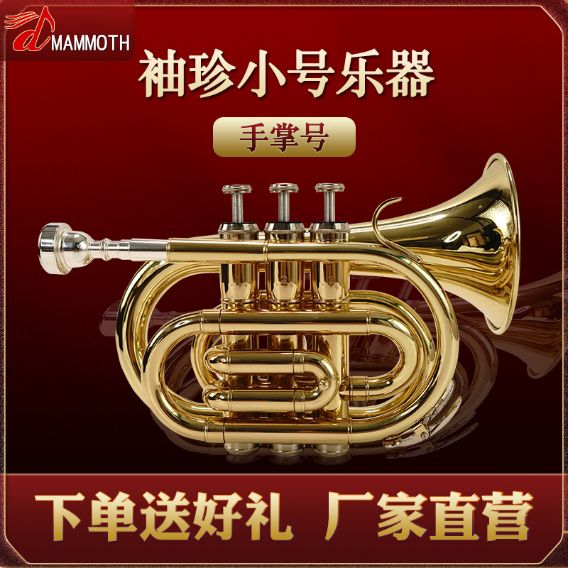 猛犸象手掌号袖珍小号降B调黄铜乐器初学学校乐团教学专业演奏