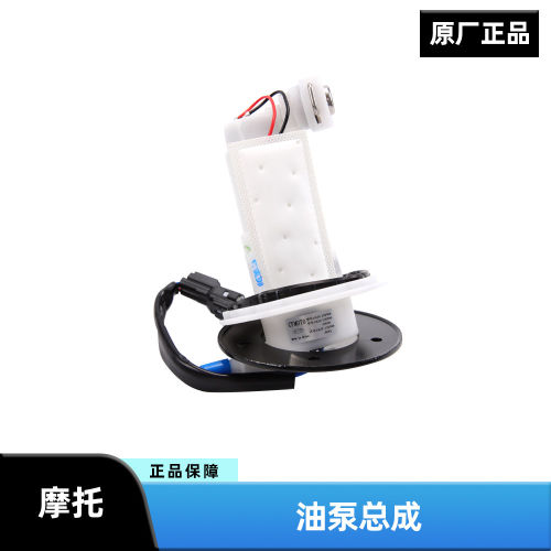 春风原厂150 250SR 400 650NK GT MT 国宾700CLX汽油泵油箱燃油泵