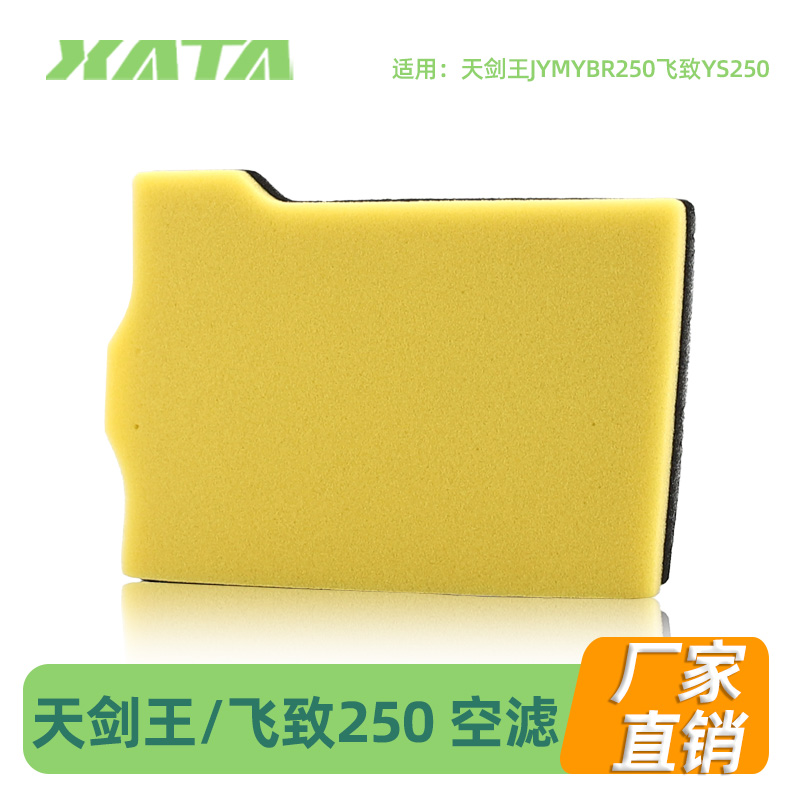 雅马哈摩托车天剑王JYM YBR250飞致YS250空气滤芯空滤过滤芯海绵