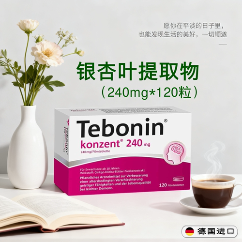 正品德国Tebonin 120mg/240mg银杏叶提取物片剂-大脑记忆耳朵响
