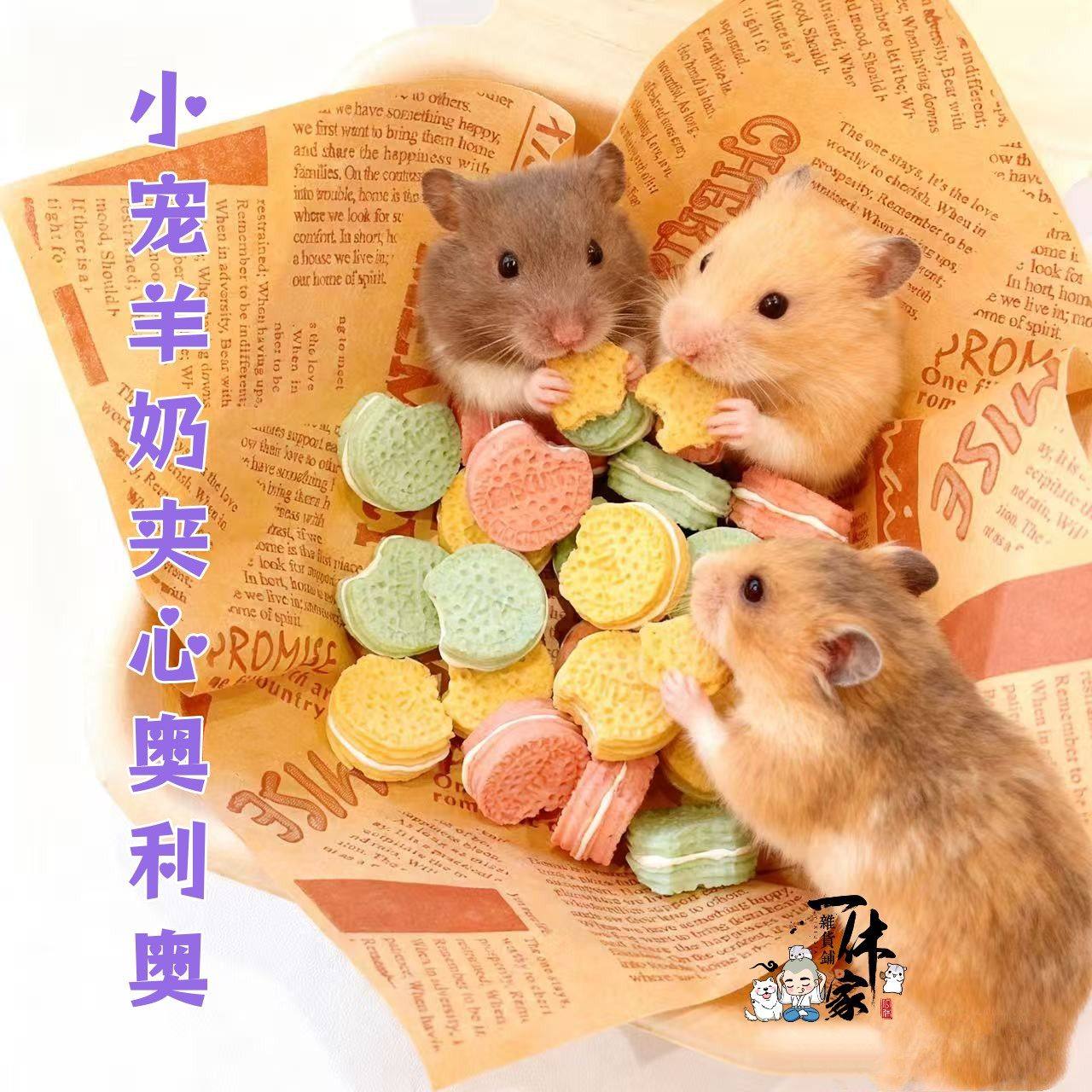 羊奶夹心mini奥利奥自制仓鼠零食宠物饼干金丝熊沙鼠补钙配餐奖励,宠物/宠物食品及用品,鼠类零食,淘宝优惠券,粉丝福利购,淘宝优惠卷