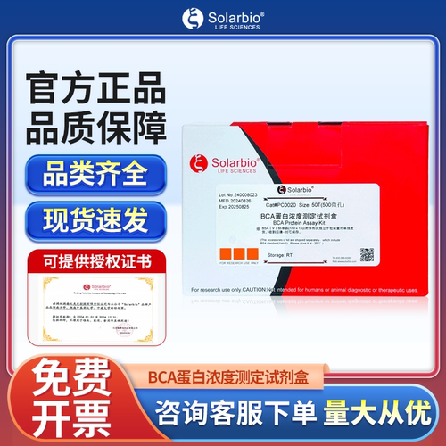 索莱宝BCA蛋白浓度测定试剂盒
