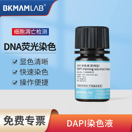 比克曼生物DAPI染色液