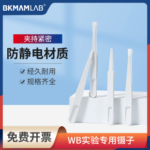比克曼生物WB用镊子实验室防静电Western Blot蛋白核酸检测转膜夹
