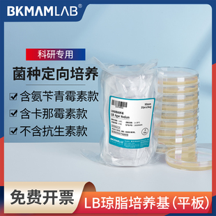 LB琼脂平板90mm即用型固体培养基氨苄青卡那抗性实验室微生物培养