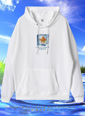 Coreland原创frutiger aero连帽衫秋卫衣Y2K千禧年亚文化小众宽松