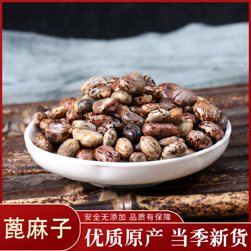 正品新貨蓖麻子50克 蓖麻籽種子 黑紅大蓖麻子仁中藥材在類目 傳統滋補營養品, 藥食同源食品, 其他藥食同源食品中 - 來自Buy2taobao.com提供專業的淘寶代購服務