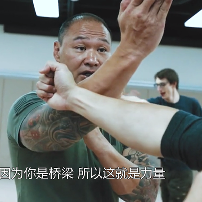 ronin tactics浪人战术tulam街头防卫打斗徒手短刀射击教程