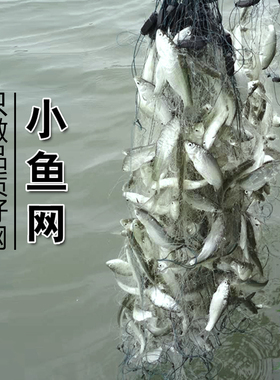 鱼网粘网挂网沉网浮网捕鱼网丝网渔网小鱼白条网三层一指半指单层