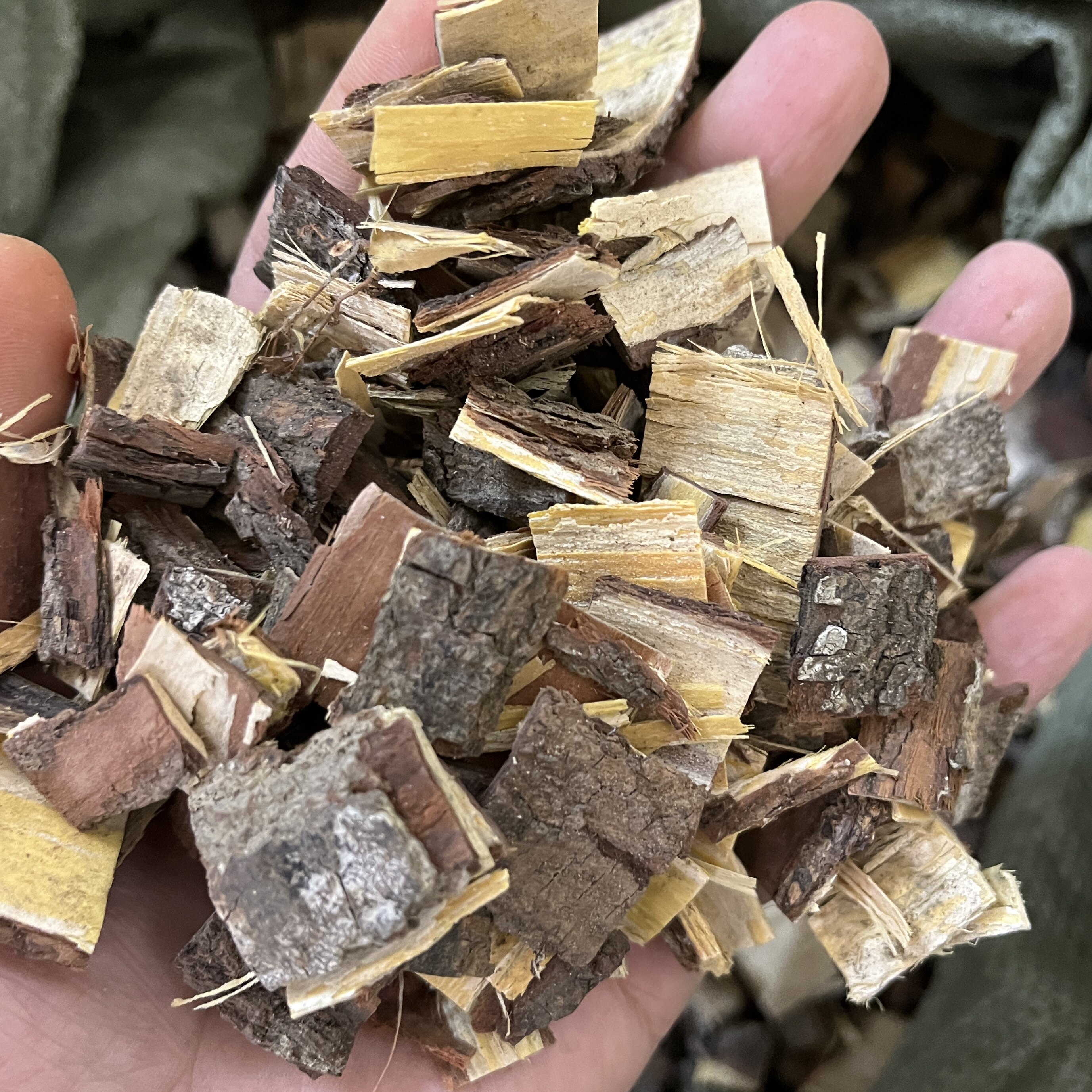 苦楝皮中药材苦楝树皮苦练皮500克干货包邮