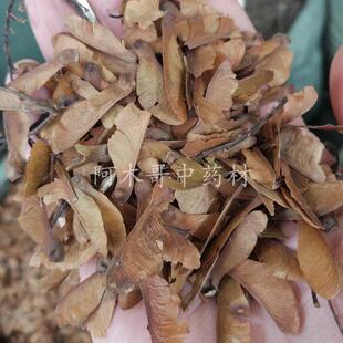 蝴蝶草 500克包邮 山蝴蝶 穿藤金兰花 铁交怀 大叶竹叶青肺形草