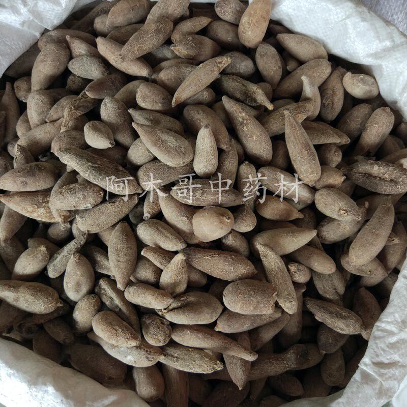 补~脑草 500克包邮 云南苗家特产多梦神经衰弱泡酒料中药材药酒料
