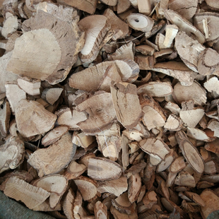 七叶莲中药材七叶风 小叶鸭脚木 七叶藤 七加皮 500克包邮