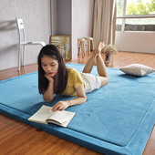 加厚三厘米榻榻米垫电热炕防滑炕被垫东北农村家用卧室土炕大炕垫