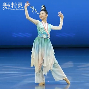 古典舞演出服汉唐舞剧目表演折枝盼舞蹈服大摆裙练功玉簟秋艺考服