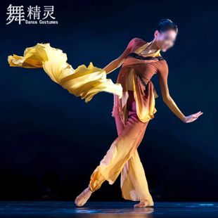 胶州秧歌舞蹈服古典舞剧目秋水同款 演出服飘逸扇子舞表演艺考服装