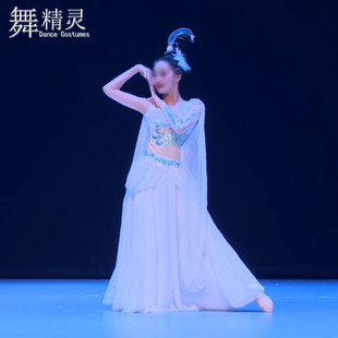 古典舞演出服少儿表演桃李杯剧目捣药仙舞蹈服飘逸敦煌舞练功艺考