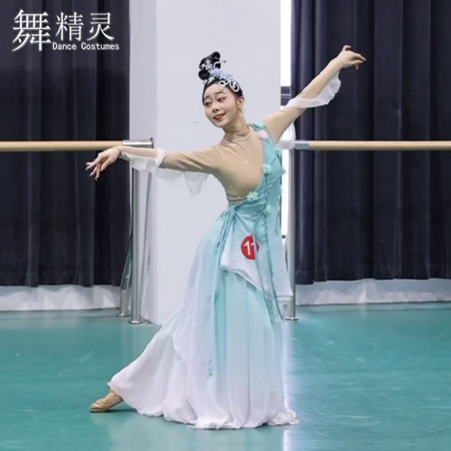 大摆裙飘逸影涧花神舞蹈服古典舞