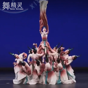古典舞水袖 舞蹈服练功艺考服 演出服惊鸿舞群舞表演博物馆之夜同款