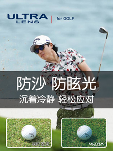 日本狮王视SWANS 高尔夫太阳镜球类运动眼镜镀膜墨镜获奖款男女