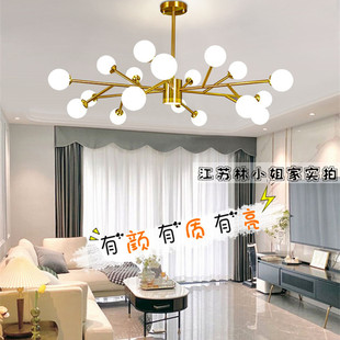 卧室家用分子灯店铺 大气网红款 新款 客厅吊灯轻奢现代主灯简约风格