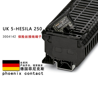 UK 5-HESILA 250 3004142 菲尼克斯保险丝接线端子