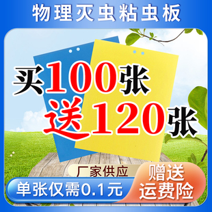 黄板双面粘虫板诱虫纸贴黄色飞虫小黑飞沾果蝇诱捕器粘板针蜂大棚