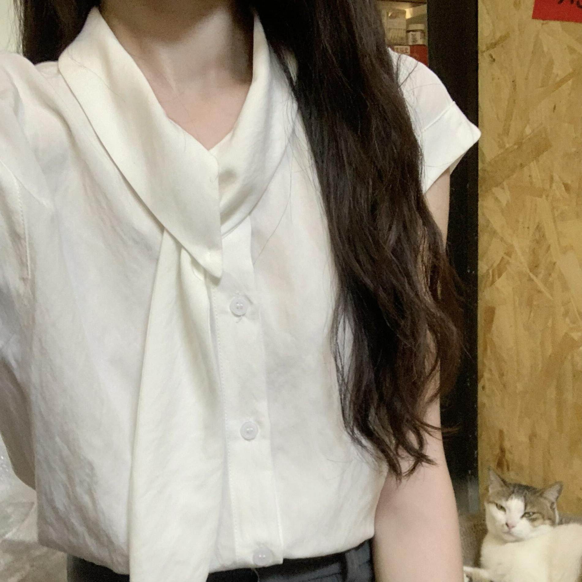 法式白色短袖衬衫女夏季