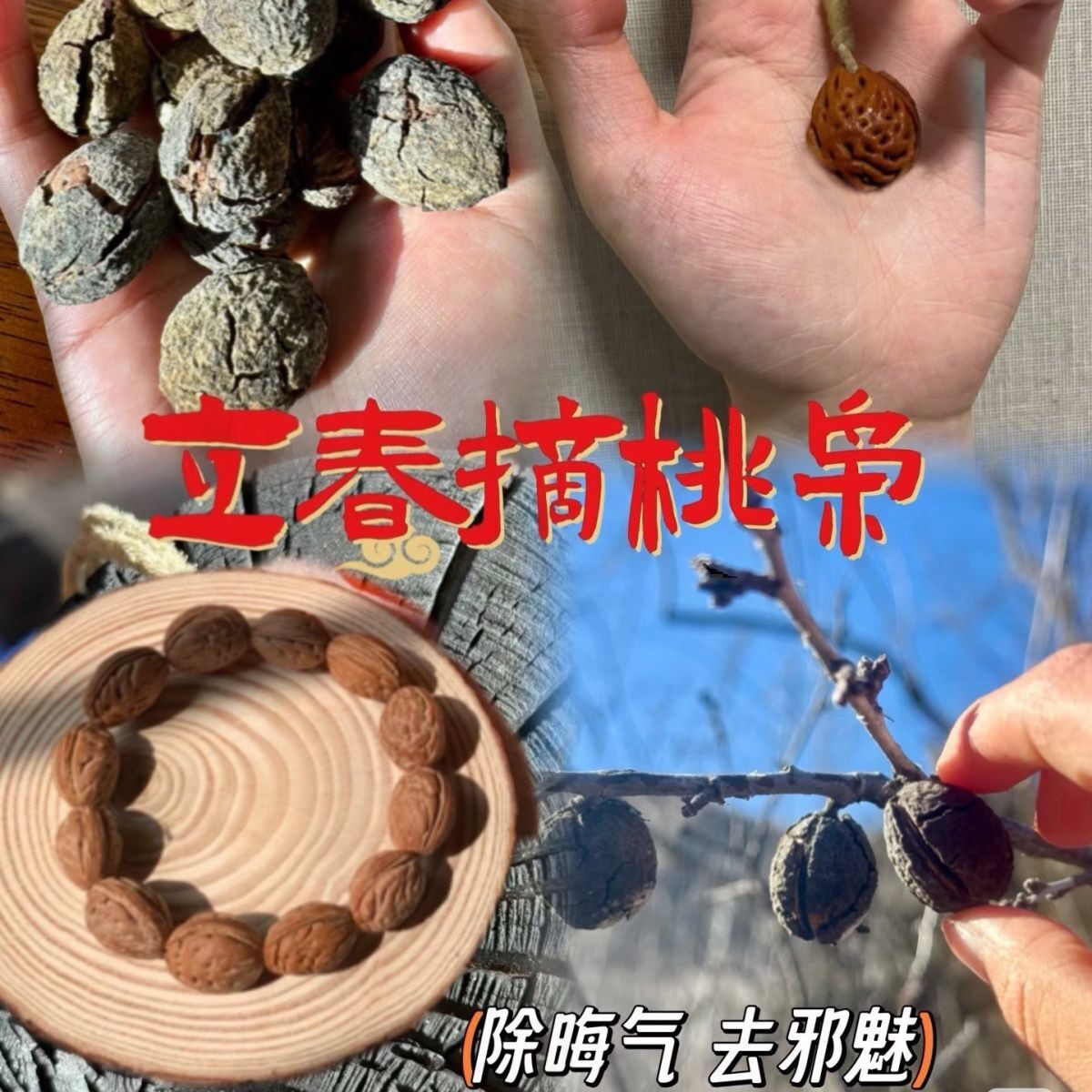正宗东北野生桃枭正月东南枝采摘手工打磨野生老树桃核男女手串