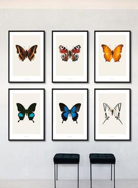 MILE ART宜家风格组合画艺术小众海报北欧蝴蝶昆虫摄影装饰画画芯