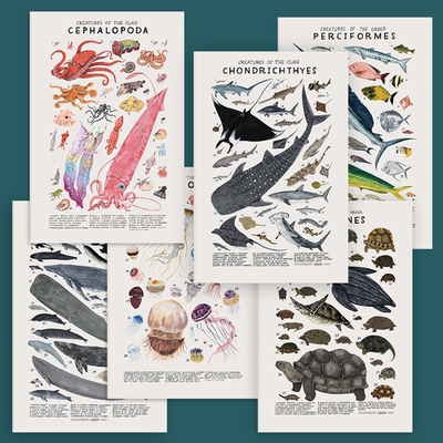 MILE ART艺术家Kelzuki动物王国海洋生物水彩海报鲸鱼海豚装饰画