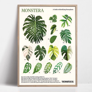 植物图谱INS小清新花卉绿叶子客厅卧室床头热植油画布画芯装 饰画