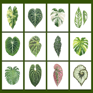 饰画画芯 组合画艺术小众海报北欧热带植物清新装 MILE ART宜家风格