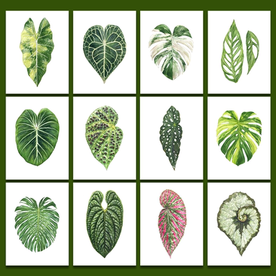 MILE ART宜家风格组合画艺术小众海报北欧热带植物清新装饰画画芯