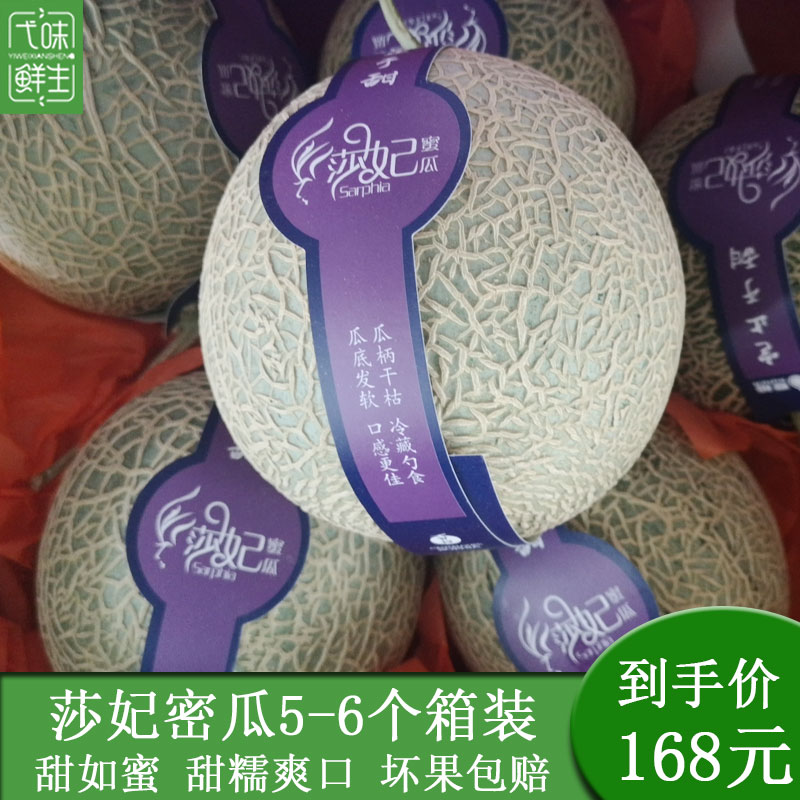 167.83元包邮莎妃密瓜 蜜瓜甜瓜当季水果新鲜精品箱装非新疆哈密瓜 网纹瓜包邮