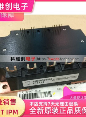 PM300CBS060 PM100CBS060 PM200CBS060 全新原装质量保证