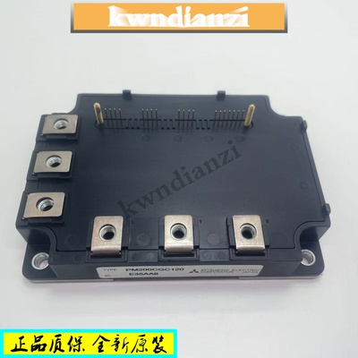 PM200CGC120 PM200RG1C120 PM300CG1C065 PM100RG1C120 大功率